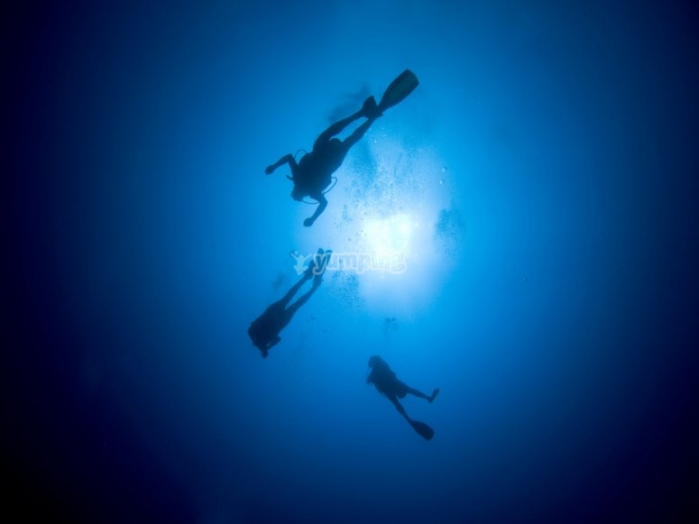 Buceadores bajo el mar